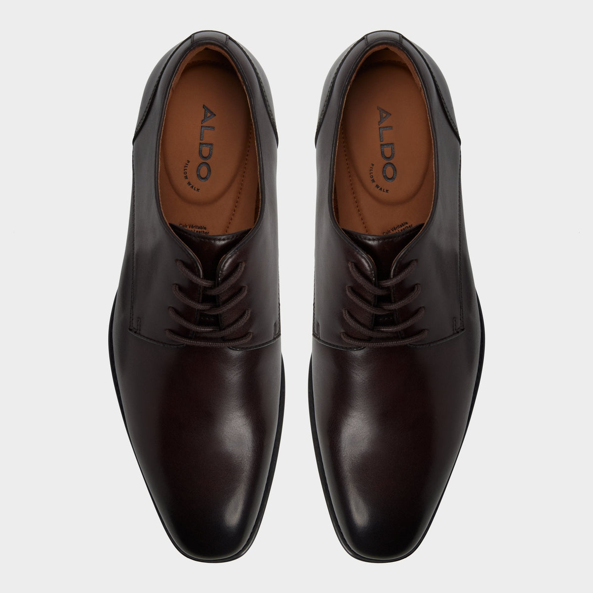 Aldo Allegro in Dark Brown - Oxford shoe