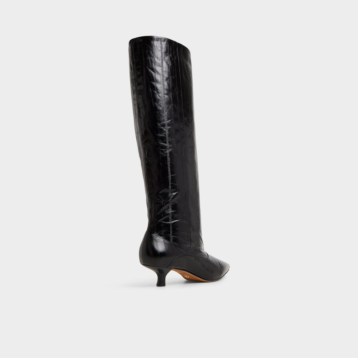 Aldo Everose in Black - Knee-high boot, Kitten heel