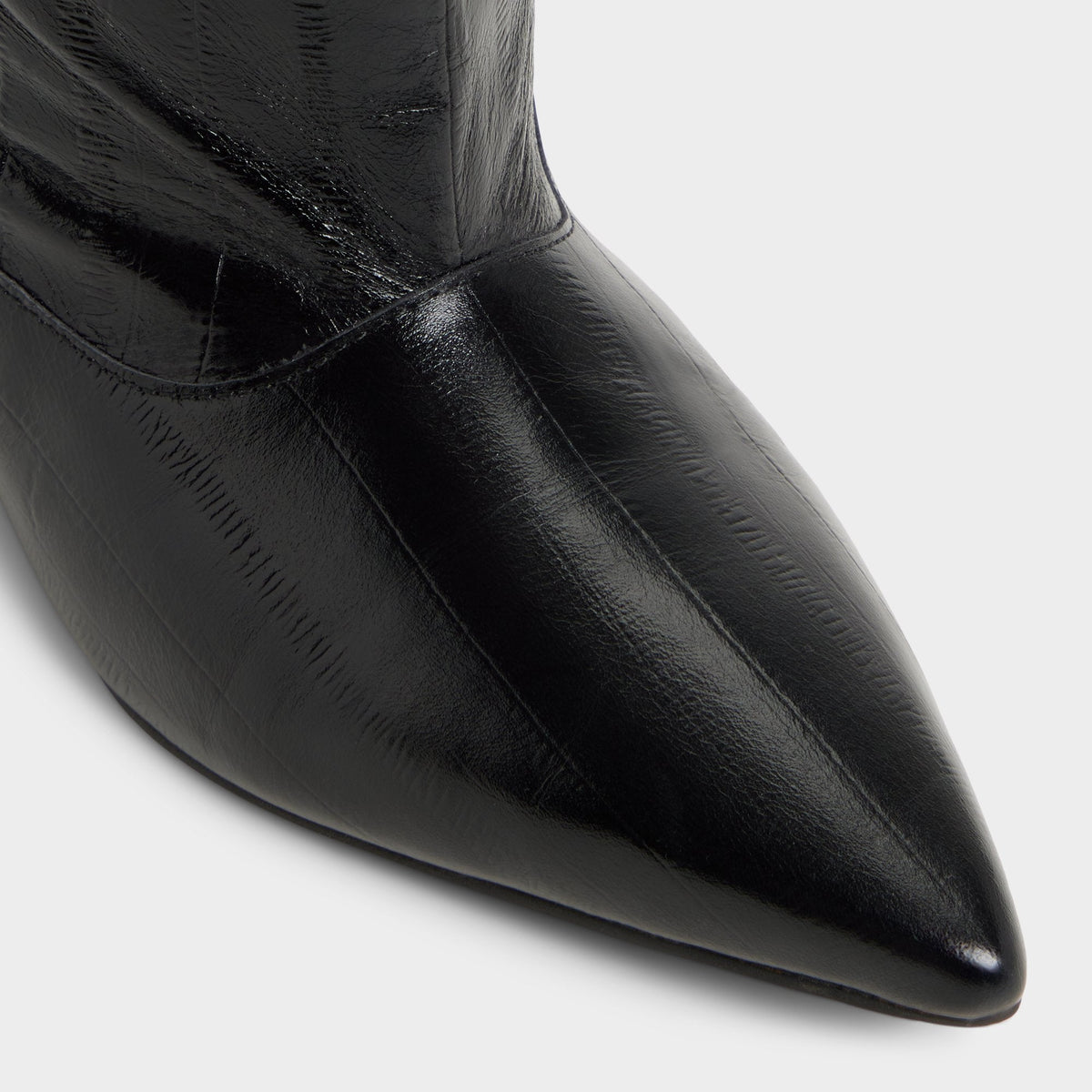 Aldo Everose in Black - Knee-high boot, Kitten heel