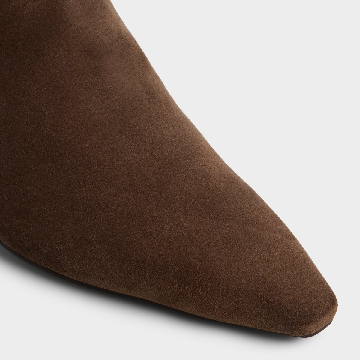 Aldo Muttsee Other Brown Women's Tall Boots - Knee-high boot, Brown