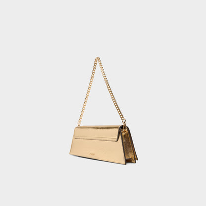 Aldo Mmychaelaa in Gold - Clutch