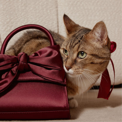 Aldo Decadencee in Dark Red - Top handle bag