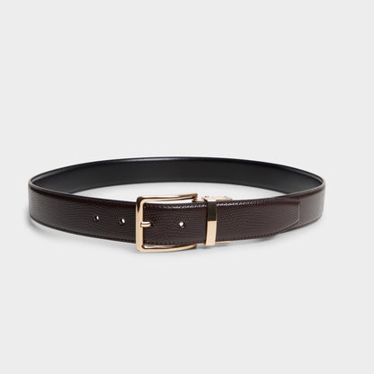 Aldo Nicholas in Dark Brown - Belt