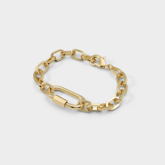 Aldo Magicly in Gold - Bracelet